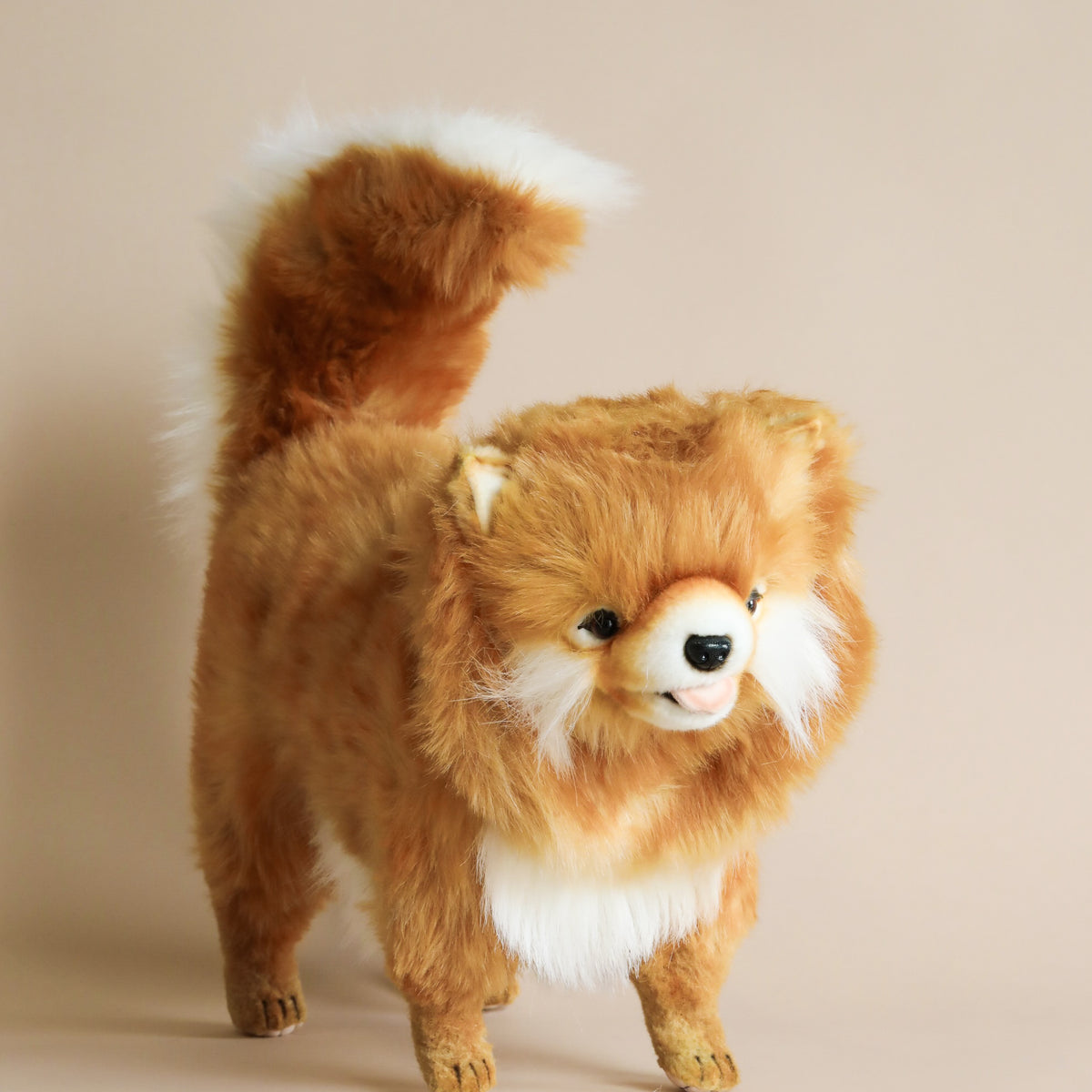 Pomeranian Dog Stuffed Animal Odin Parker