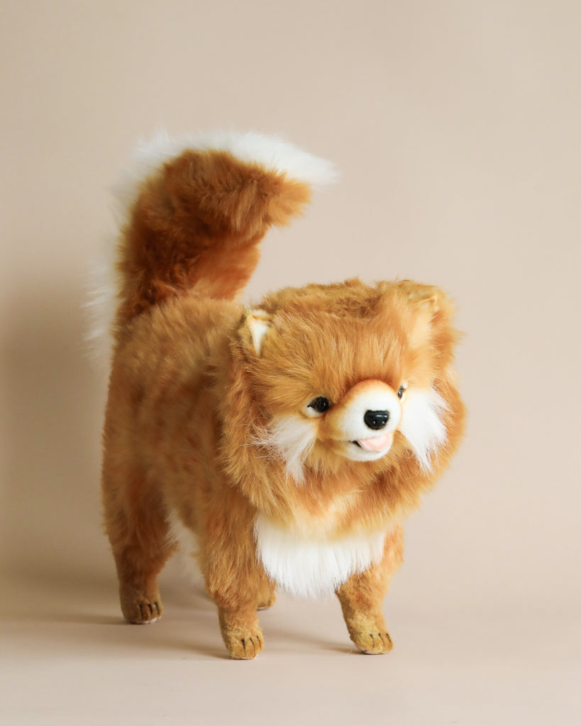 A fluffy, Pomeranian Dog Stuffed Animal with an exaggerated bushy tail and lifelike eyes standing against a light beige background, hand-sewn to create a realistic plush animal.