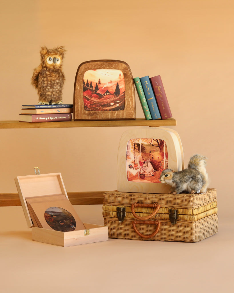 A display of woodland animal toys, books, the Toverlux Silhouette Storage Box Deluxe featuring nature scenes, and a wicker suitcase set against a neutral background.
