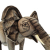 A close-up of the Ride-On Elephant - Final Sale, a realistic plush toy with detailed wrinkles, large ears, and white tusks, showcased against a white background.