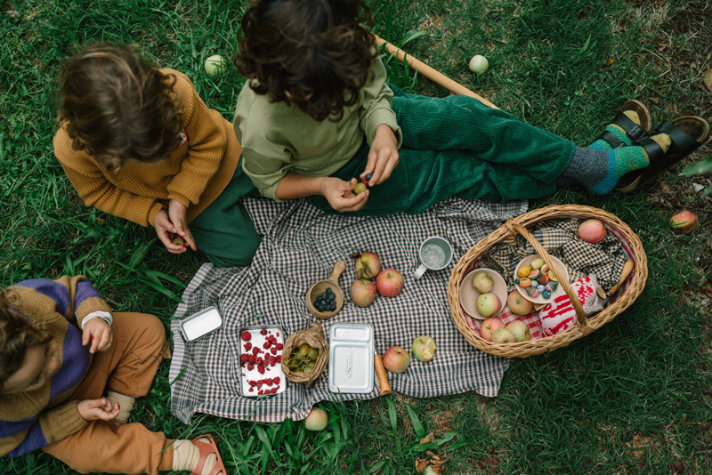 Three children sit on a blanket outdoors, enjoying a picnic with apples, berries, and snacks. A wicker basket holds more fruit and the Grapat Play Set - Fruits, inviting imaginative play on the green grass with scattered apples nearby.