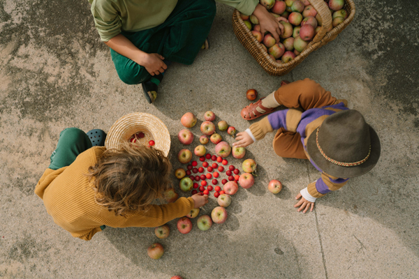 Viewed from above, three children sit on the ground sorting apples, red berries, and Grapat Mandala Half Spheres into woven baskets, with fruit and sustainable wooden toys scattered beside them on the concrete.