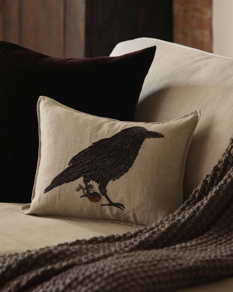 A beige sofa with a textured brown blanket and two pillows—one is the Coral & Tusk Blackbird with Acorn Pillow, the other a dark pillow behind it—set against a blurred background.