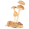 The Small Wooden Natural Mushroom Trio features three wooden mushrooms of different heights attached to a textured wooden base, resembling a cluster of mushrooms sprouting from the ground. This decorative figurine captures the rustic appeal of driftwood decor, adding a touch of natural beauty to any space.