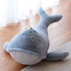 The Ride-On Whale Pouf, a large soft gray plush floor cushion with rope detail on top, sits on a wooden floor near sheer white curtains and a beige rug.