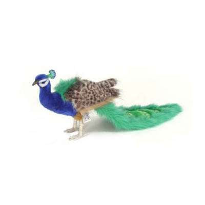 A colorful Peacock Stuffed Animal with vibrant blue and green feathers standing isolated on a white background.