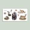 Our Big Book of Animals (Board Book) features a charming illustrated spread of forest animals—hedgehog, raccoon, skunk, and more—with each animal labeled and shown in natural poses using delightful watercolor art on a plain background.
