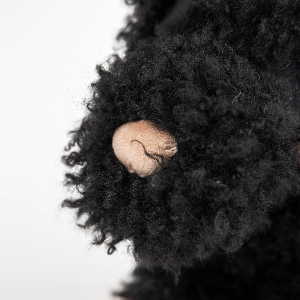 Close-up of Pull-Along Walter, a plush toy with curly black fur, featuring a beige fabric nose and sturdy wooden wheels—perfect as a charming pull-along companion.