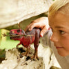 A young boy with blond hair stands by a wooden fence, smiling as he closely examines a small Schleich Red Tyrannosaurus Rex Dinosaur Toy in his hands.