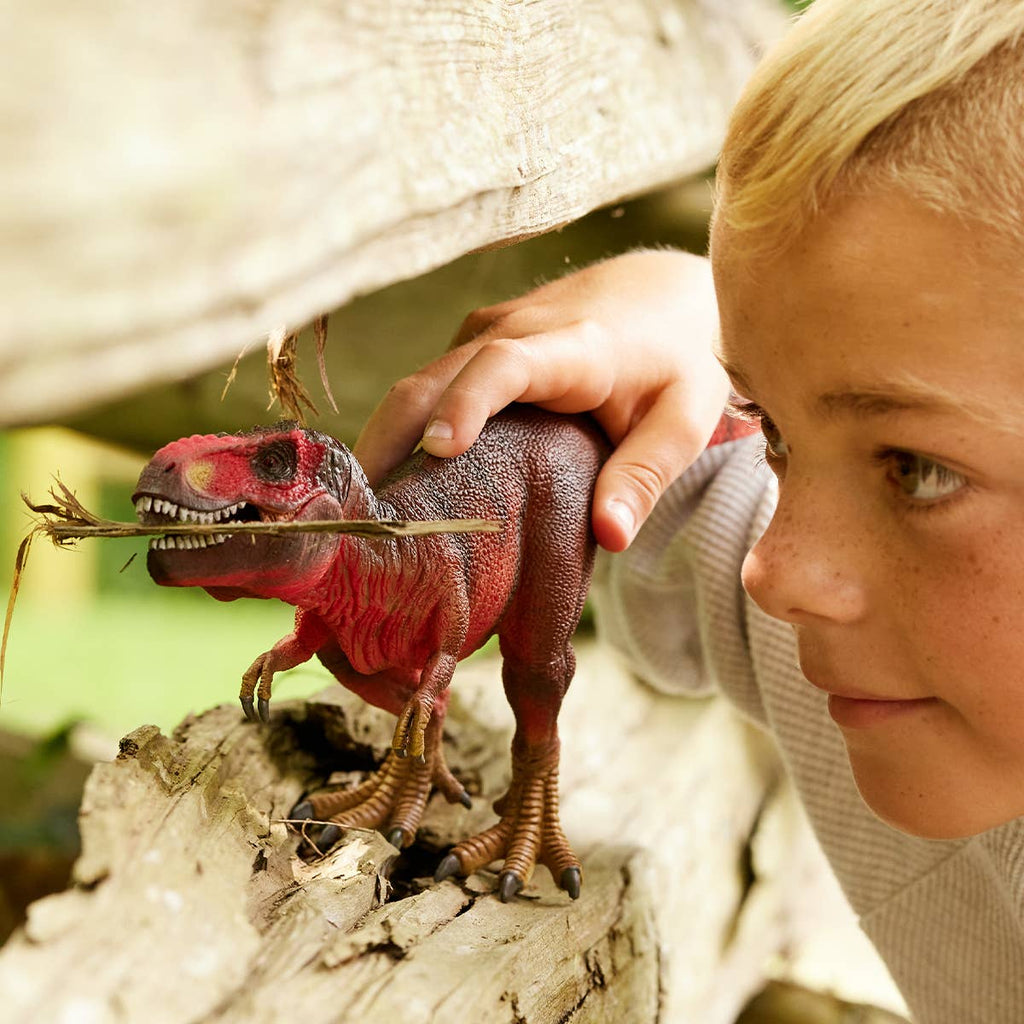 A young boy with blond hair stands by a wooden fence, smiling as he closely examines a small Schleich Red Tyrannosaurus Rex Dinosaur Toy in his hands.