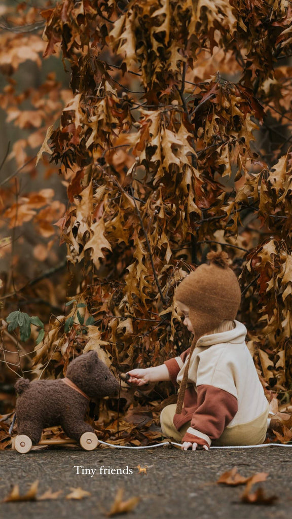 A young child in a brown hat and warm clothes sits on a path, reaching out to the Pull-Along Raoul. Behind them are trees with brown autumn leaves. Text at the bottom reads, "Tiny friends.