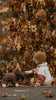 A young child in a brown hat and warm clothes sits on a path, reaching out to the Pull-Along Raoul. Behind them are trees with brown autumn leaves. Text at the bottom reads, "Tiny friends.