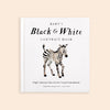 Square book cover titled “Black and White Contrast Book for Baby” featuring a realistic illustration of a zebra. Subtext reads: “High Contrast Fine Art for Visual Stimulation” by Tabitha Paige, M.S., CCC-SLP. This black-and-white baby book is designed with high-contrast images to support early visual development.