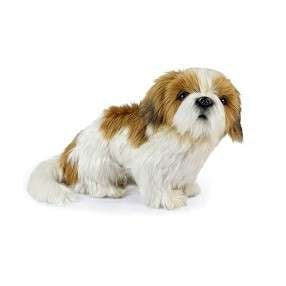 A realistic Shih Tzu Stuffed Animal with white and brown fur, crafted from high-quality man-made materials, sitting against a white background and looking slightly to its right with a calm expression.