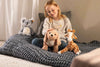 A smiling child sits on a gray knitted blanket, petting a Steiff Berno Goldendoodle plush. She is accompanied by koala and giraffe stuffed animals. The softly lit room with light-colored walls and a carpeted floor creates a cozy ambiance.