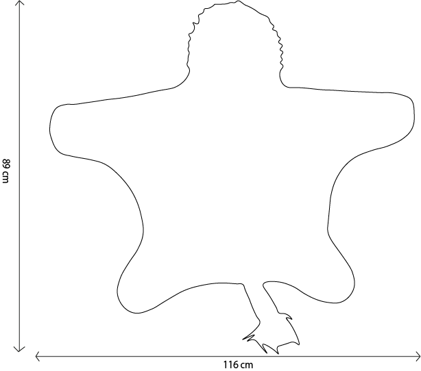 Outline of a lion costume, measuring 89 cm tall and 116 cm wide, with spread limbs, a rounded head, and two clawed feet extending downward. Simple black lines on a white background.