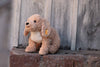 The Steiff Berno Goldendoodle Dog Plush, a brown toy with floppy ears, rests on a worn brick surface against a rustic wooden wall. It boasts the iconic Steiff button-in-ear tag and is fully machine washable, enhancing its charming appeal.