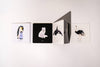 Four illustrated flashcards from the Black and White Contrast Book for Baby display a penguin, white fox, orca, and ostrich on a white background with shadows, each card labeled with the animal’s name. Designed in the style of a black-and-white baby book, these high-contrast images support early visual development in young children.