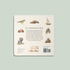 The back cover of Our Big Book of First Words features cheerful drawings—bird, cookies, toy car, sailboat, shoes, elephant, pig, and wooden blocks—making it perfect for little learners building vocabulary with this delightful board book.