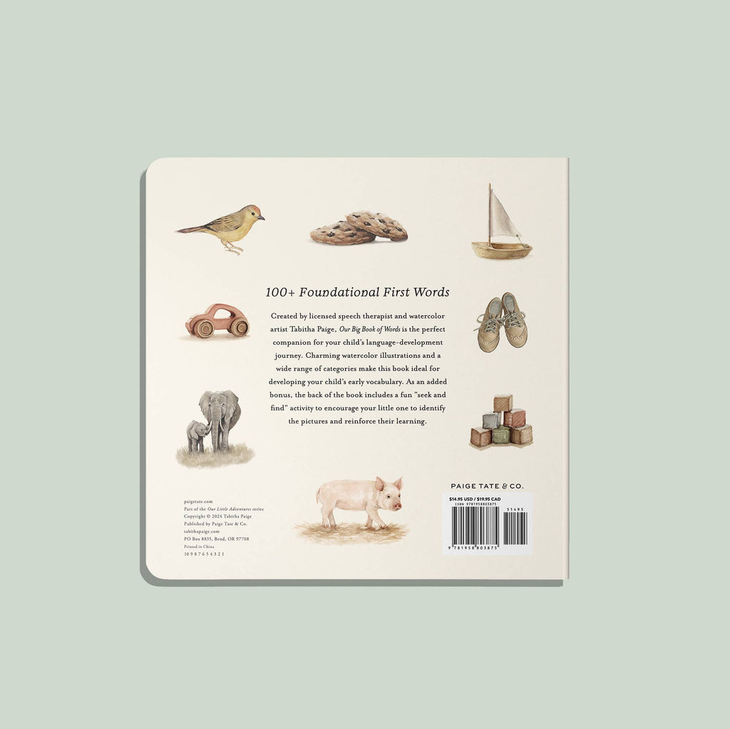 The back cover of Our Big Book of First Words features cheerful drawings—bird, cookies, toy car, sailboat, shoes, elephant, pig, and wooden blocks—making it perfect for little learners building vocabulary with this delightful board book.