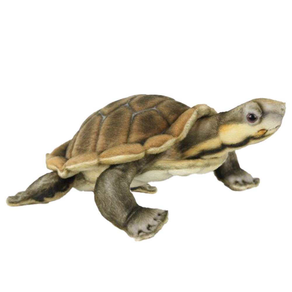 A realistic River Turtle Stuffed Animal walking, isolated on a white background. The turtle features detailed texturing on its shell and limbs.