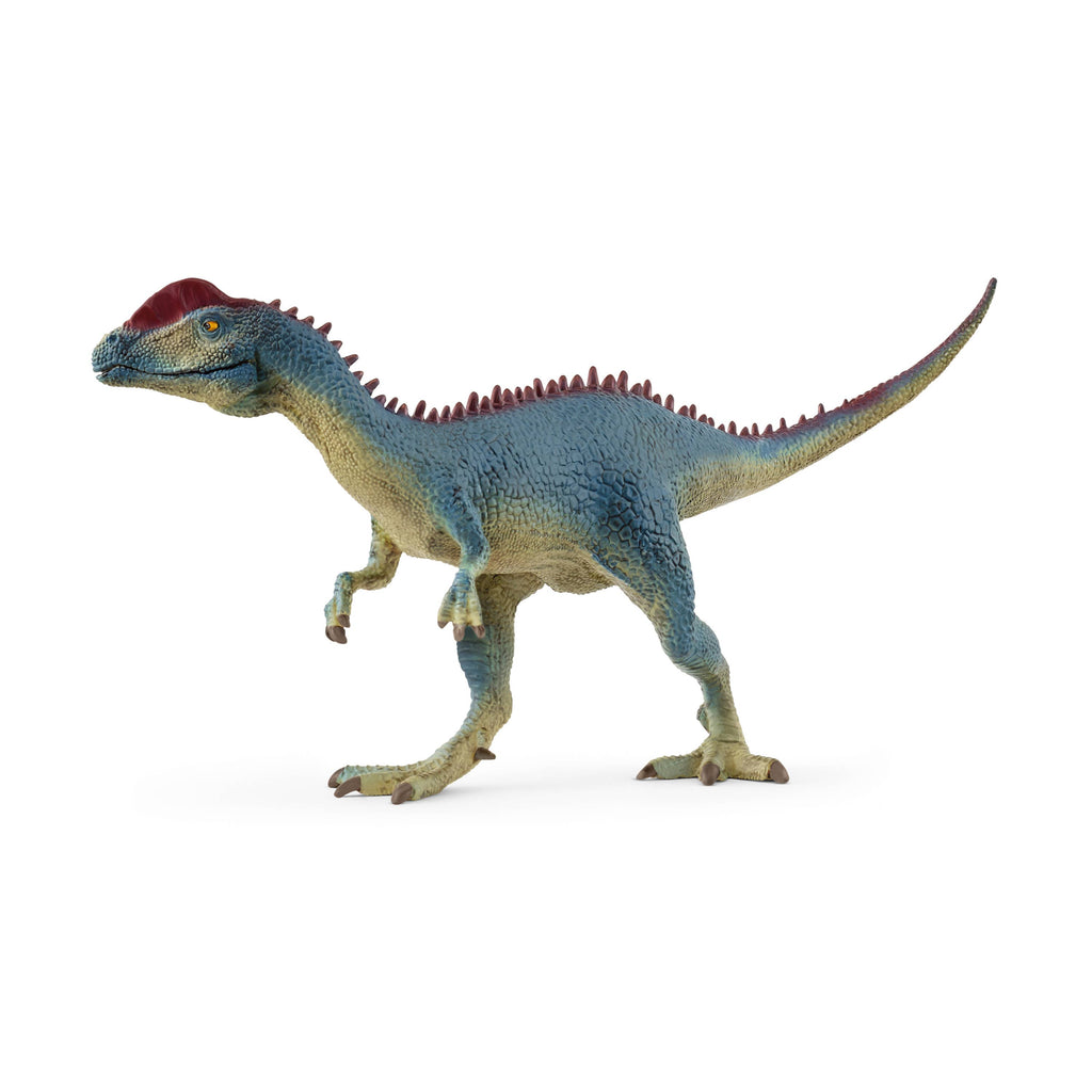 A Schleich Dilophosaurus toy, featuring blue and green coloring with a distinctive red crest on its head, stands upright on two legs facing left against a plain white background—ready to inspire imaginative play about prehistoric giants and the fascinating world of dinosaurs.