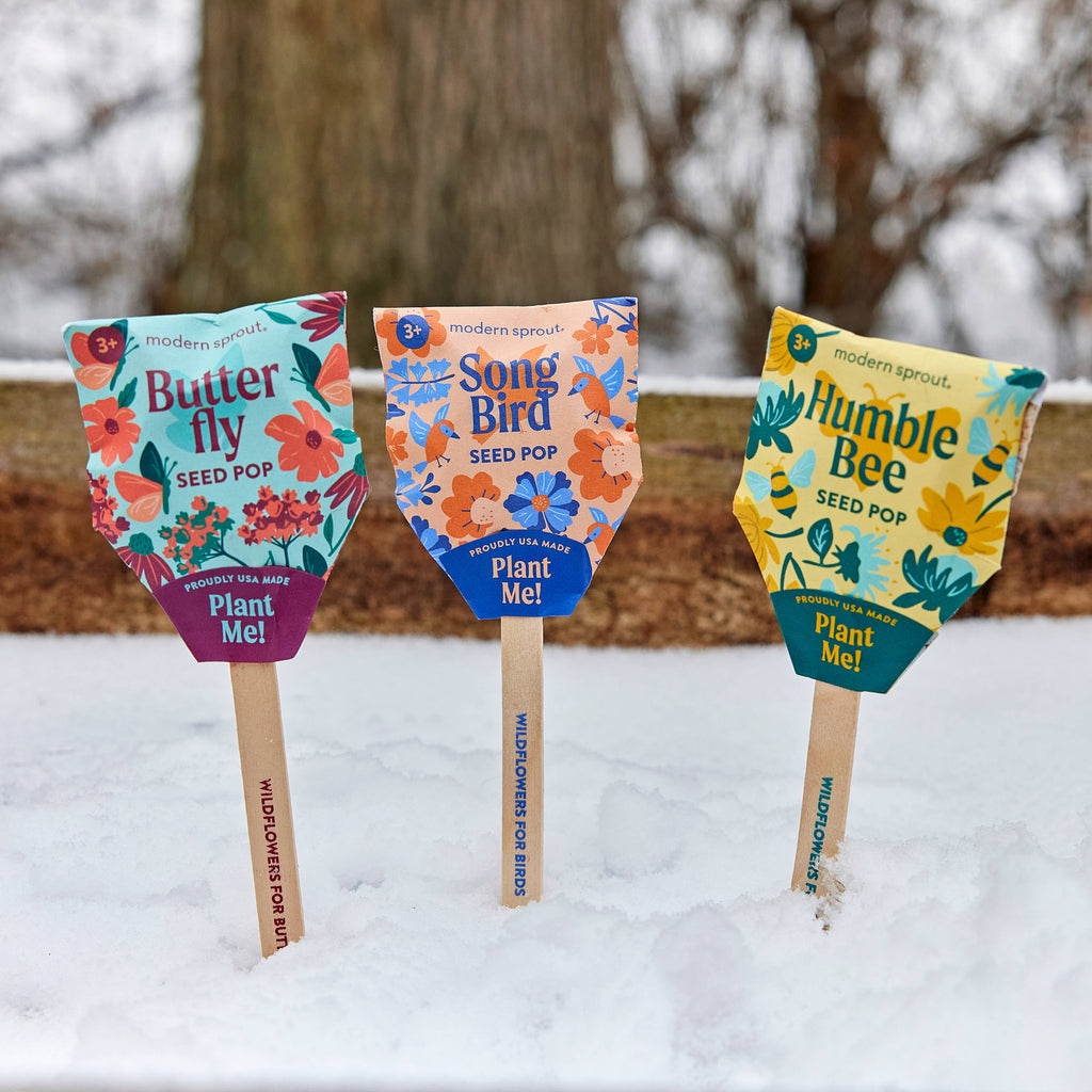 A Pollinator Seed Pop (Single) stands upright in the snow with "Butterfly," "Song Bird," and "Humble Bee" labels, ready to help grow a vibrant pollinator garden. Trees and wood offer a natural backdrop for this colorful wildflower seed pop.