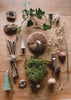 A flat lay of natural objects on wood—sticks, moss, leaves, a mushroom, pinecones, seed pods, dried flowers, stones, and small cones—perfect for quiet moments with the Grapat Quiet Time Advent Calendar 2025.