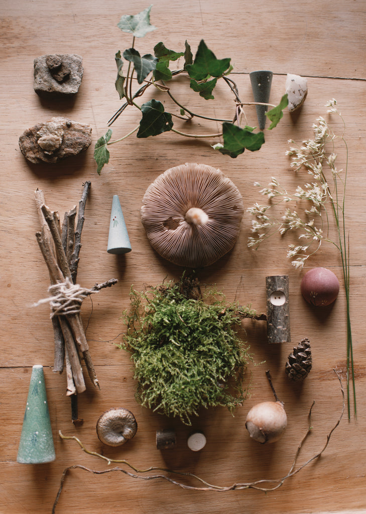 A flat lay of natural objects on wood—sticks, moss, leaves, a mushroom, pinecones, seed pods, dried flowers, stones, and small cones—perfect for quiet moments with the Grapat Quiet Time Advent Calendar 2025.
