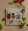 The Curio Enamel Paper Clip Set features three paperclips shaped like a ladybug, beetle, and butterfly, each with colorful enamel detailing and displayed on a floral card. Surrounded by green plants, a purple flower, and two orange butterfly wings on a beige background, this delightful set has an overall product size of 4 x 4 x 0.5 inches.