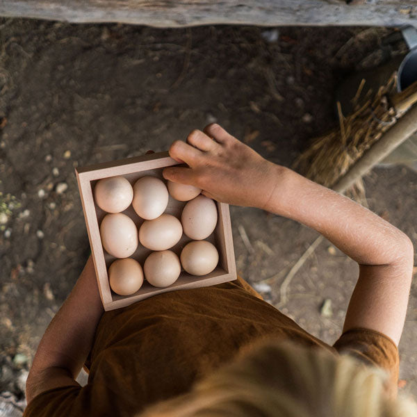 A top-down view of a child holding a Grapat Small Storage Box filled with fresh eggs, standing near a dirt floor with a broom in the background. The child is wearing a brown shirt and is partially