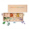 A Grapat Mix & Match sorting box with compartments containing colorful cubes of various shapes, viewed from above. Some cubes are scattered outside the box on a white surface.