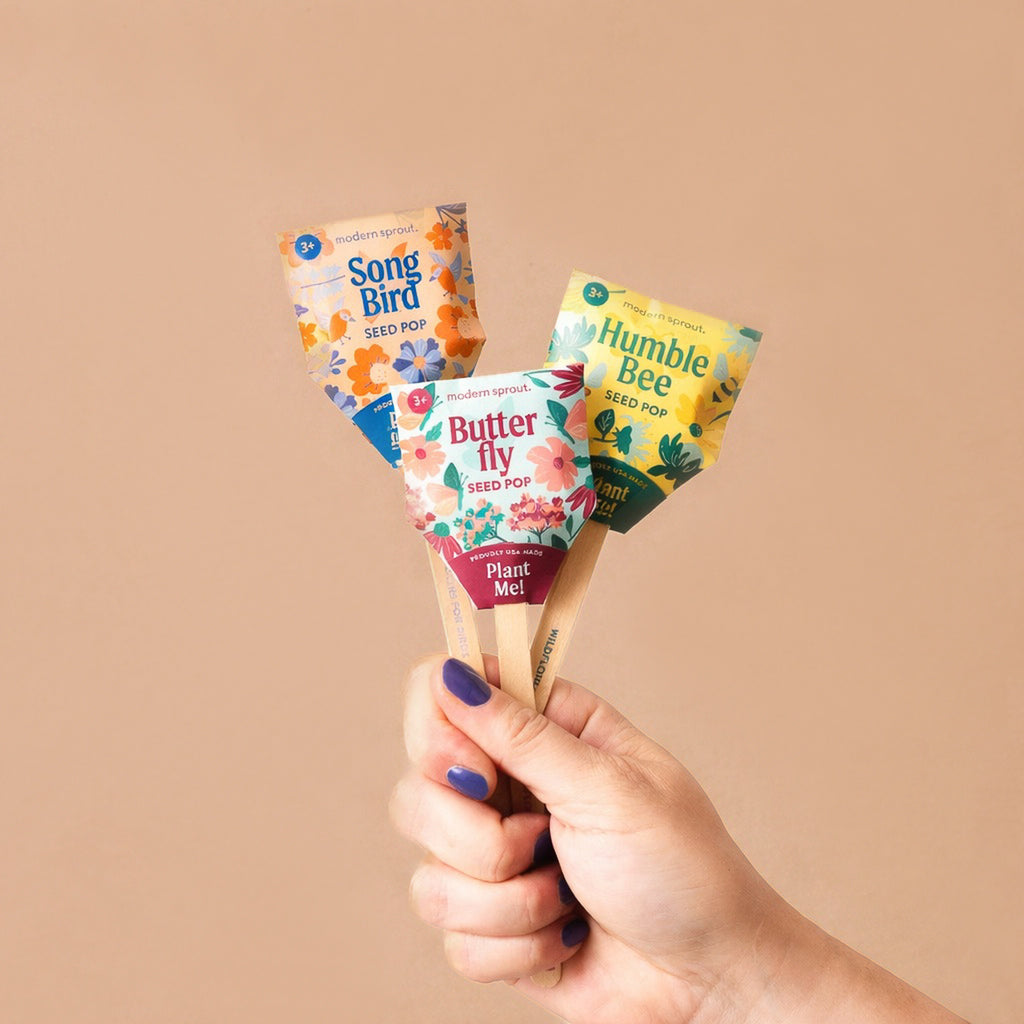 A hand with purple nails holds three Pollinator Seed Pops (Single) labeled Song Bird, Butterfly, and Humble Bee against a beige background. Each features floral designs and "Plant Me!"—ideal for starting your pollinator garden.