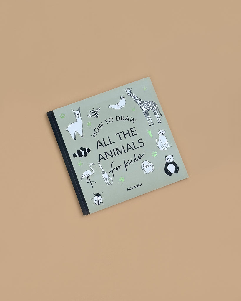 The book "All the Animals: How To Draw Books For Kids" by Alli Koch features step-by-step animal drawing guides and simple illustrations, including a llama, giraffe, panda, and flamingo on the cover against a beige background.