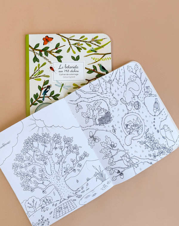 The Moulin Roty Botanist Coloring Book & Stickers, open to detailed flora and fauna pages, reveals trees and animals. Below it rests a closed copy with a leafy bird-illustrated cover on a beige surface.