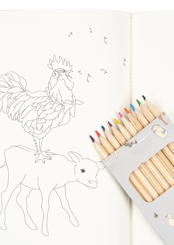 An open Coloring Book and Colored Pencils - Farm displays a simple line drawing of a rooster standing on a calf. To the right, a pencil set with 12 vibrant colored pencils rests partially over the page. This creative activity invites coloring and creativity.