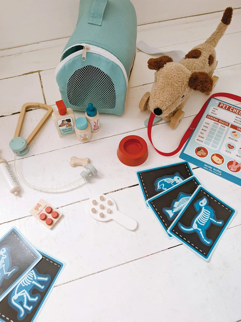 Animal Rescue Vet Case featuring a plush dog, pet vet bag, animal carrier, stethoscope, medicine bottles, syringe, pill packs, bone, pet dish, x-ray cards, and a pet checkup chart displayed on a white wooden floor.