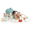 The Animal Rescue Vet Case features a plush toy dog with a head bandage nestled in a soft, blue pet carrier, surrounded by all the essential toy vet tools—including a stethoscope, scissors, thermometer, syringe, medicine bottles, and a food bowl—for the ultimate veterinary play set.