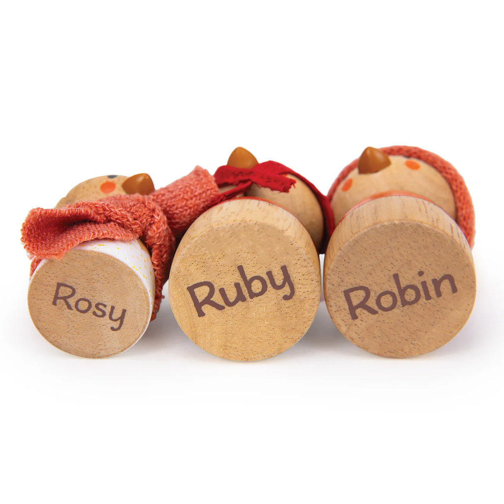 Robin's Nest Box features three wooden bird figurines—Rosy, Ruby, and Robin—each with a unique colored scarf. This charming set inspires imaginative play and storytelling for children.