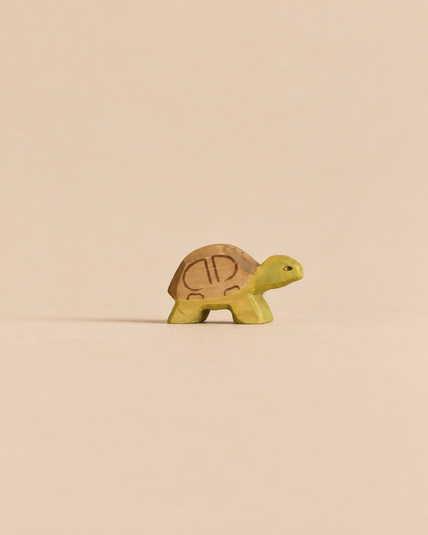 A Handmade Holzwald Small Turtle, a small wooden toy with a brown shell and a green body crafted as a sustainable toy.