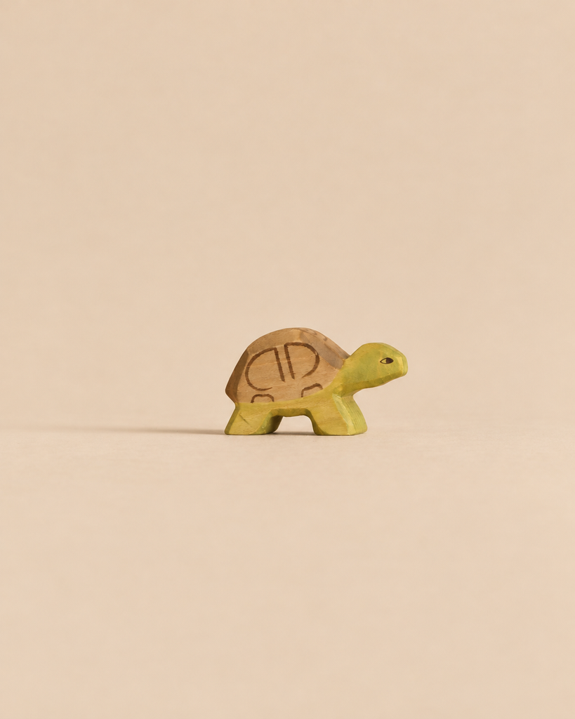 A Handmade Holzwald Small Turtle, a small wooden toy with a brown shell and a green body crafted as a sustainable toy.