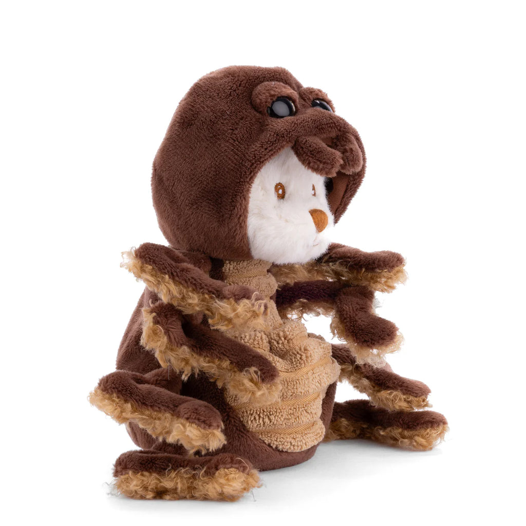 Bukowski - Ziggy Spider, a plush toy featuring the body and legs of a brown spider with a white and brown bear face, ideal for imaginative play, is displayed on a white background.