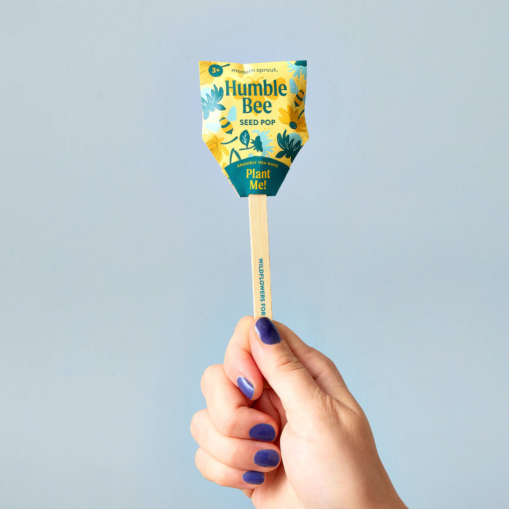 A hand with blue nail polish holds a Pollinator Seed Pop (Single) in vibrant yellow, blue, and green packaging against a light blue background. Plant this seed pop to grow wildflowers and support your own pollinator garden!.