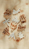 Nine insect-shaped cutters from the Insect Cutter Set – Eco Playdough Tool, along with matching dough pieces, are arranged on a light wooden surface. The set features shapes like a bee, ladybug, dragonfly, moth, and grasshopper. Gentle natural light highlights these eco-friendly sensory play tools—ideal for creative playdough activities.