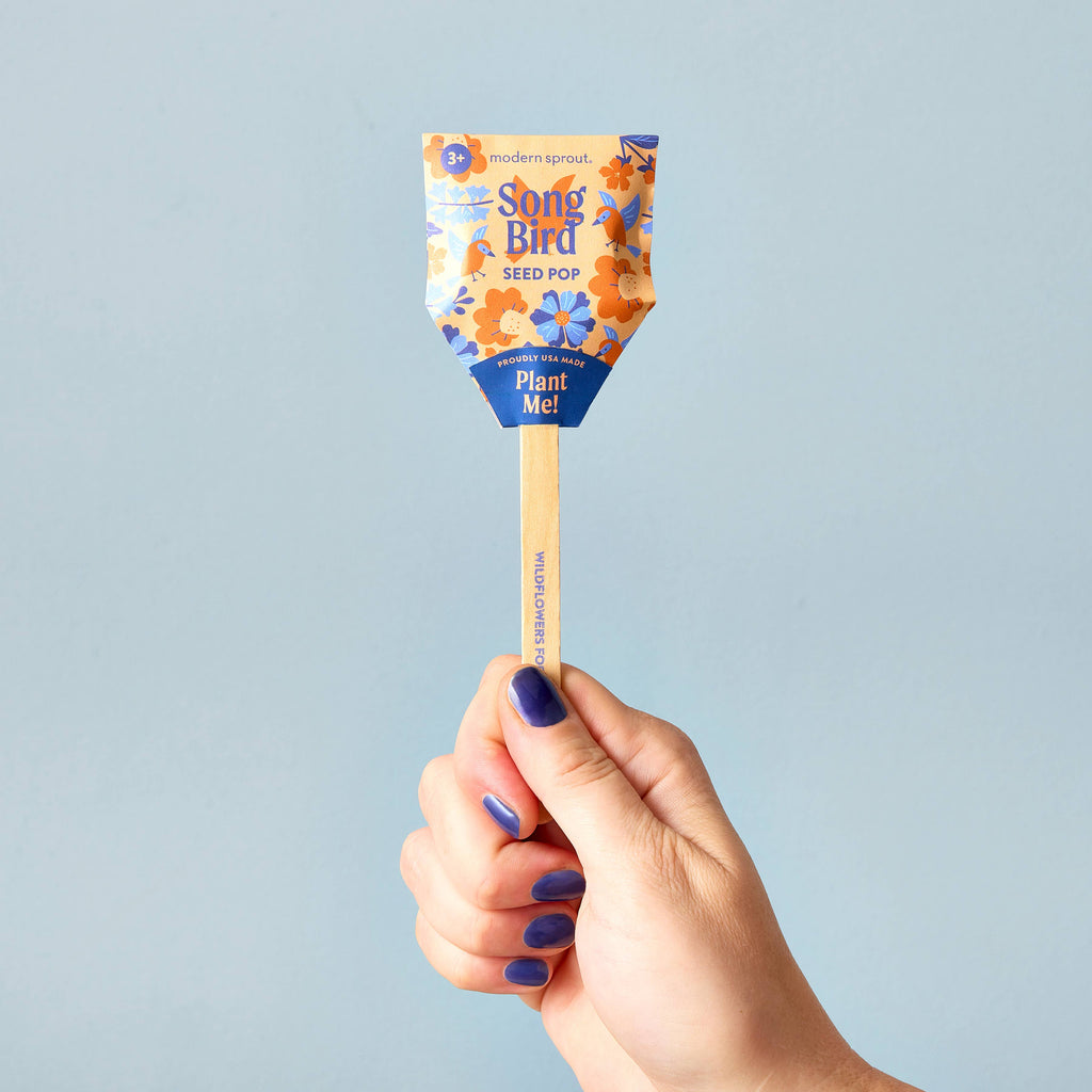A hand with blue-painted nails holds a Pollinator Seed Pop (Single) against a light blue background. Its colorful floral packaging reads “Plant Me!” and is ideal for starting your pollinator garden with wildflower seeds.