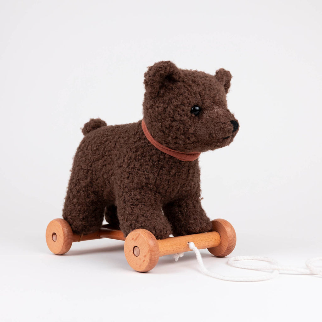 Pull-Along Raoul is a brown plush toy dog with four wooden wheels and a pull string, designed to delight children as they develop gross motor skills, set against a plain white background.