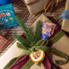 A gift wrapped in brown paper with green and red ribbons, decorated with pine sprigs and a dried orange slice. Nearby is a Pollinator Seed Pop (Single) for your pollinator garden.