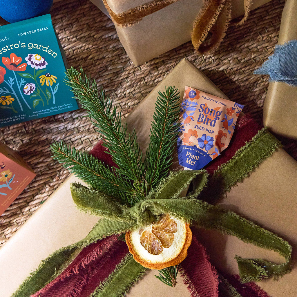 A gift wrapped in brown paper with green and red ribbons, decorated with pine sprigs and a dried orange slice. Nearby is a Pollinator Seed Pop (Single) for your pollinator garden.