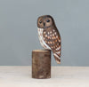 The Hand Carved Ornament - Mini Barred Owl - 5”H is crafted from sustainable softwood, painted by hand, and displayed on a short round log against a plain light gray background.