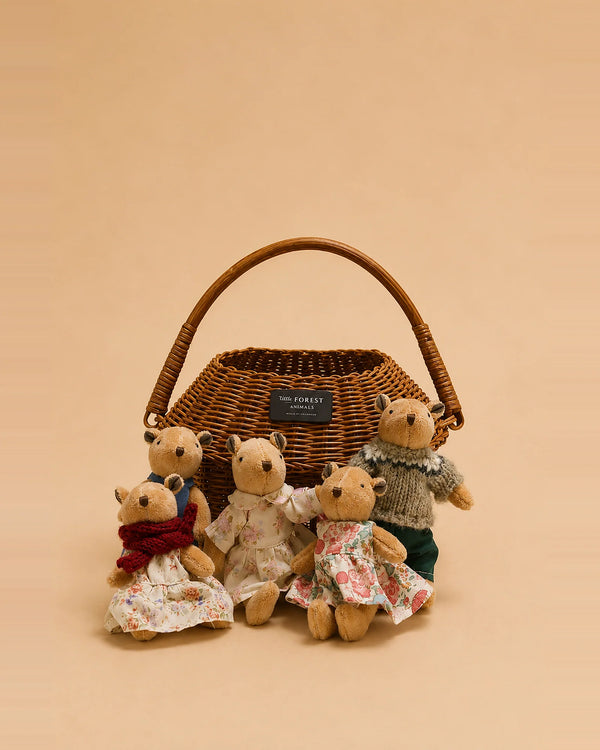 Four Little Forest Animals — The Thompson Family, dressed in charming floral and knit outfits reminiscent of handcrafted family dolls, sit together before a brown wicker basket with a handle, set against a plain tan background.